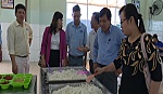 Kiểm tra vệ sinh an toàn thực phẩm tại Công ty TNHH Minh Hưng