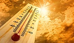 Nhiệt độ tại các TP sẽ tăng thêm 8 độ C vào cuối thế kỷ