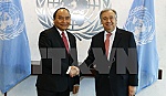 Thủ tướng Nguyễn Xuân Phúc hội đàm với Tổng thư ký Liên hợp quốc