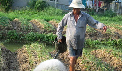 Hiện nay, rất khó thuê lao động nông nghiệp và giá thuê cũng rất cao.