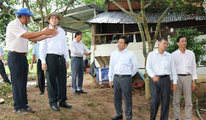 Ông Lê Văn Hưởng, Chủ tịch UBND tỉnh khảo sát thực tế các đê bao trên địa bàn xã Tân Phong.