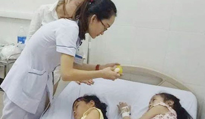 Primary students in Nghe An province are hospitalized due to eating wutong seeds (Photo: SGGP)