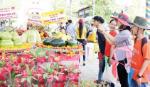 Southern fruit festival 2017 opened