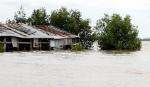 Flood season to early hit Mekong Delta region