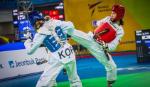 Vietnam wins first silver taekwondo medal on global stage