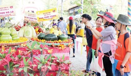 Southern fruit festival 2017 takes place at Suoi Tien Cultural Park
