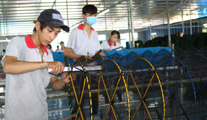 Công ty TNHH Sản xuất thương mại Phú Đạt là một DN chuyên sản xuất và xuất khẩu (chủ yếu là xuất khẩu sang Nhật) các sản phẩm phục vụ sản xuất nông nghiệp và nuôi trồng thủy hải sản