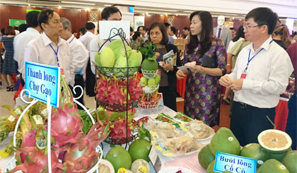 Các loại trái cây của tỉnh tham gia Hội nghị Kết nối cung cầu tại TP. Đà Nẵng.