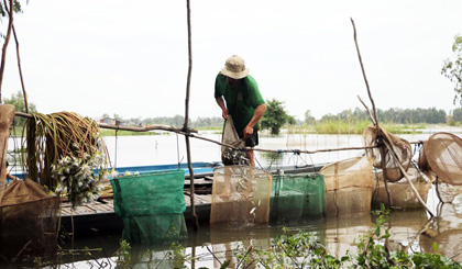 A farmer catches fish in Nhơn Hưng Commune, Tịnh Biên District in the southern province of An Giang. Floods in the Cuu Long (Mekong) Delta are expected to occur earlier this year. – VNA/VNS