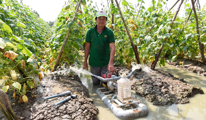 Anh Võ Văn Thanh đang vận hành thiết bị tưới tại ruộng dưa.