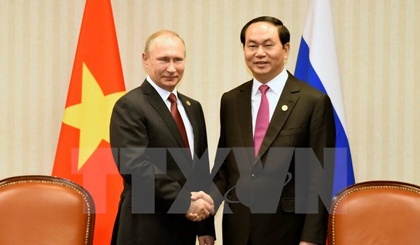 President Tran Dai Quang (R) meets his Russian counterpart Vladimir Putin within the 24th APEC Economic Leaders' Meeting in Peru (Source: VNA)