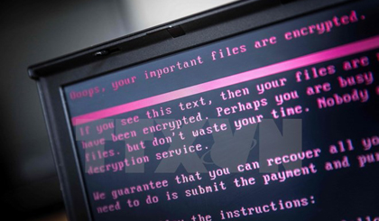 Một máy tính bị nhiễm mã độc tại Gedrop, Hà Lan ngày 27/6. (Nguồn: AFP/TTXVN)