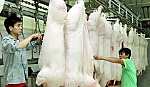 Giá thịt lợn tăng vọt: Cảnh báo từ nhiều phía