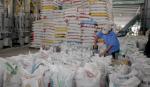 Vietnam firms win bids to sell rice to Philippines