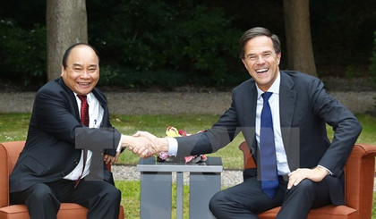 Prime Minister Nguyen Xuan Phuc (L) and his Dutch counterpart Mark Rutte (Source: VNA)