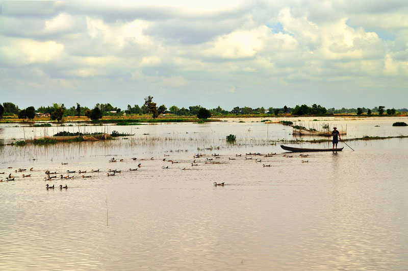 Vùng lõi ngập nước Đồng Tháp Mười, Long An.