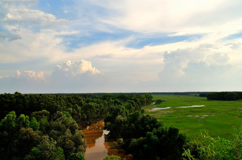 Vườn quốc gia Tràm Chim, Đồng Tháp.