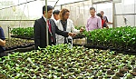 Australian delegation visits the Southern Fruit Institute