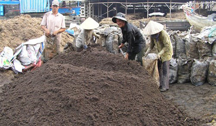 Tra Vinh province has licensed Hudavil Tra Vinh fertiliser JSC to build a plant producing organic-microbial and organic-mineral fertilisers from sugar press mud. (Photo: tuoitre.vn)