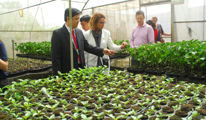 Tiến sĩ Nguyễn Văn Hòa giới thiệu giống cây trồng theo Công nghệ cao của Viện.