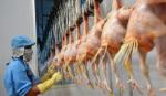 First batch of Vietnamese chicken to enter Japan in early September