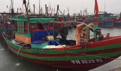Fishing ships are anchored at Cua Sot, Loc Ha, Ha Tinh to avoid storm Doksuri