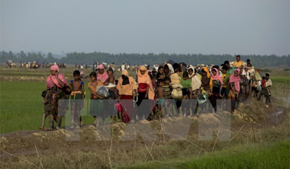 Người Hồi giáo Rohingya chờ nhận hàng cứu trợ tại trại tị nạn Leda gầnTeknaf, Bangladesh ngày 19/9. Nguồn: AFP/TTXVN