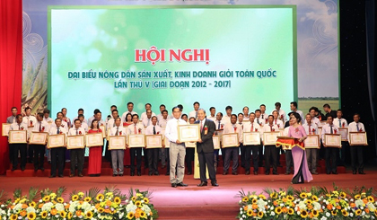 Deputy PM Truong Hoa Binh presents the PM's certificates of merit to exemplary farmers in the emulation movement.