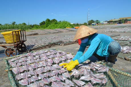 Khai thác thủy, hải sản là một trong những tiềm năng của kinh tế biển.