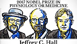 Giải Nobel Y học năm 2017 thuộc về bộ ba nhà khoa học Mỹ