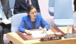 Ambassador highlights Vietnam's stance on disarmament, nuclear non-proliferation