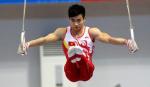 Vietnamese gymnast's new skill added to Gymnastics Code of Points