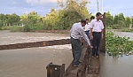 Department of Agriculture and Rural Development inspects the flood and tide prevention activity