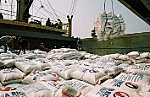 Xuất khẩu gạo 9 tháng ước đạt 4,6 triệu tấn