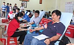 Hơn 300 người tham gia hiến máu nhân đạo