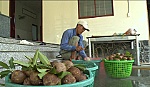 The price of sapote in Chau Thanh district goes up