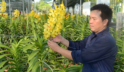 Kết nối và chuyển giao