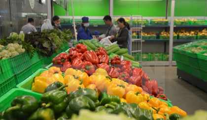  Exports of fruits and vegetables in the first nine months of the year are estimated at 2.64 billion USD, a year-on-year surge of 44.2 percent. (Photo: VNA)