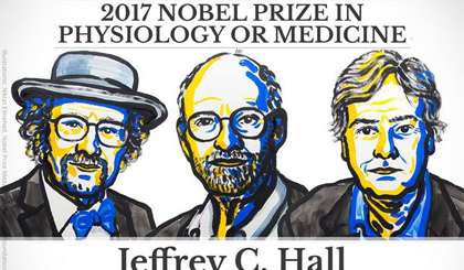 Chiều 2-10 theo giờ Việt Nam, Ủy ban Nobel của Viện Karolinska ở thủ đô Stockholm của Thụy Điển đã công bố giải Nobel Y học năm 2017 thuộc về bộ ba nhà khoa học người Mỹ