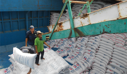 Với mức tăng trưởng hơn 40% so với cùng kỳ năm ngoái, lũy kế từ đầu năm đến đầu tháng 10-2017, xuất khẩu gạo Việt Nam đã đạt hơn 5,2 triệu tấn, vượt tổng khối lượng xuất khẩu của cả năm 2016.