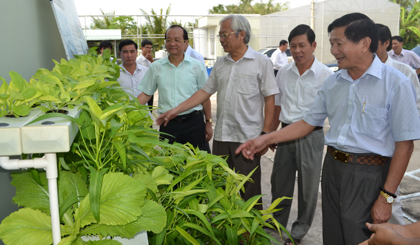 Lãnh đạo tỉnh tham quan mô hình trồng rau thủy canh tại Trung tâm Kỹ thuật và Công nghệ sinh học Tiền Giang.  	Ảnh: N.T