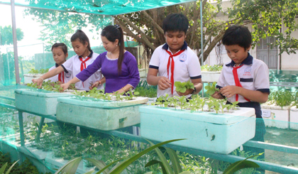 Giáo viên và học sinh chăm sóc vườn trường. 