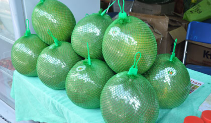 Green grapefruit. Photo: VAN ANH