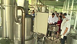 Producing products processed from fish and seafood by vacuum fried machine