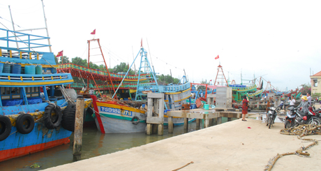 Neo đậu tàu tại cảng cá Vàm Láng (huyện Gò Công Đông).