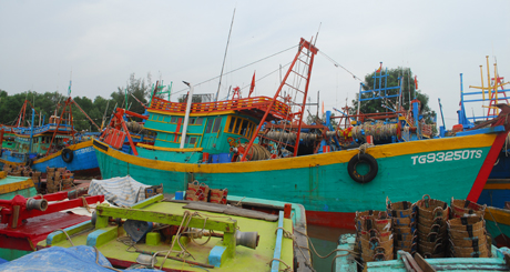 Những tàu đánh bắt cá neo đậu trật tự tại cảng cá Vàm Láng (huyện Gò Công Đông) vào chiều 3-11. 
