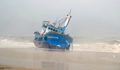 A boat was washed ashore by strong waves in storm Damrey in Quy Nhon city of Binh Dinh province (Photo: VNA)