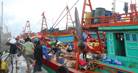 Các tàu neo đậu tại cảng cá Vàm Láng chuẩn bị nhu yếu phẩm để ra khơi..