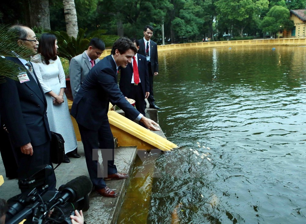 Thủ tướng Canada Justin Trudeau bên ao cá Bác Hồ. (Ảnh: Phạm Kiên/TTXVN)