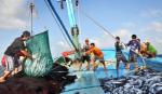 Ministry takes actions in response to EU's warning of IUU fishing